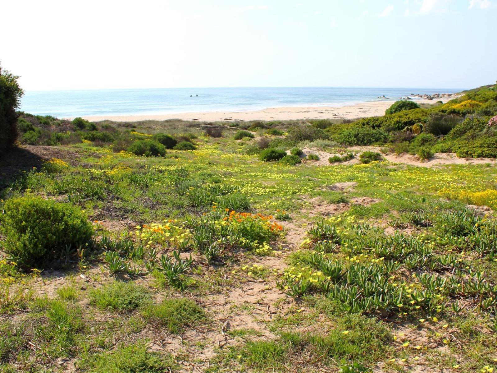 Absolute Beach Accommodation Stompneusbaai Extérieur photo